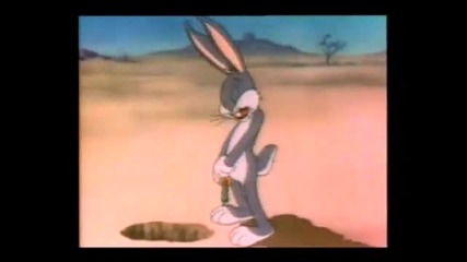 The wacky wabbit 