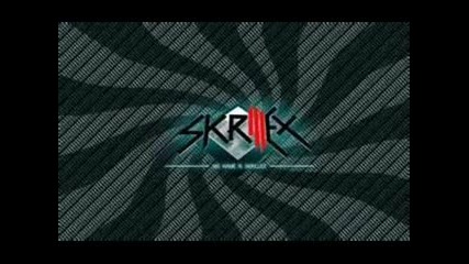 Skrillex- disco rangers
