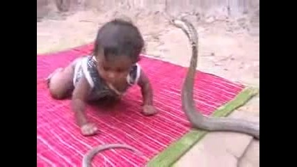 ууникално дете срещу змия 