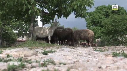 Едно много силно клипче за нашата майка-родина България