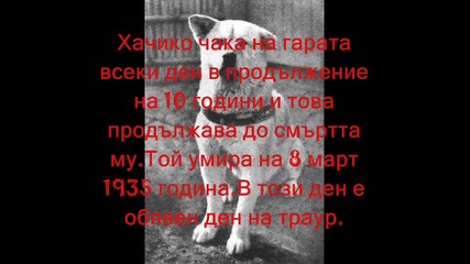 Hachiko - кучето, чиято история разчувства всички!! ; 