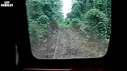 Пътя на влак минава през джунглата!!!