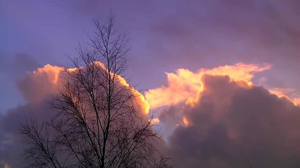 Letter to Heaven