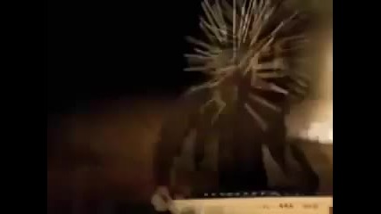 Slipknot - Psychosocial [official Video]