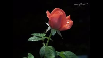 Ernesto Cortazar - Secret feelings