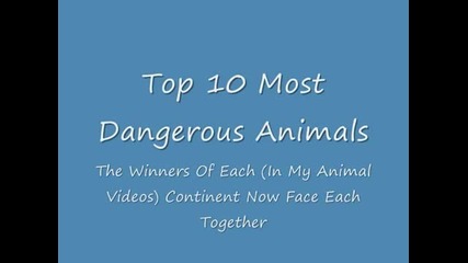 Топ 10 на най-опасните животни в света (top 10 Most Dangerous Animals In The World)