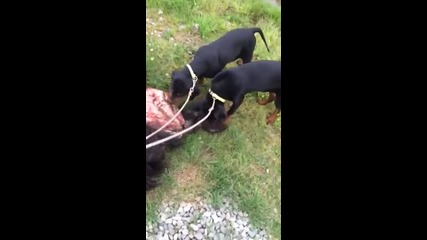 Vid 20140430 Wa0000
