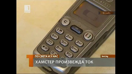 Хамстер зарежда Gsm–и и произвежда ток! 