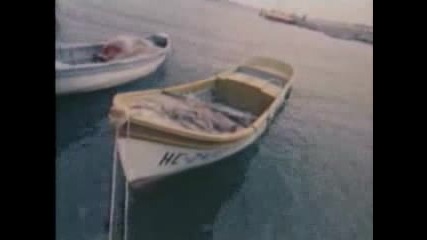 # Вили Кавалджиев - Виргиния 