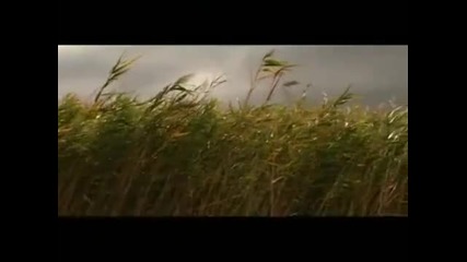 Веселин Маринов-всичко с теб е хубаво
