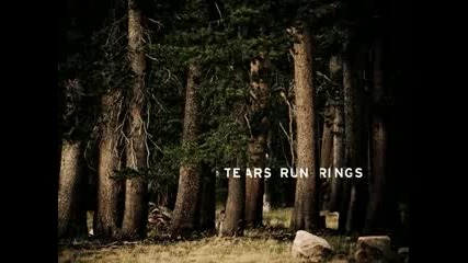 Tears Run Rings - Mind The Wire