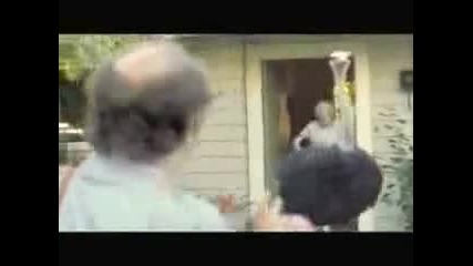 Май е най - добре да си вземете куче, нали