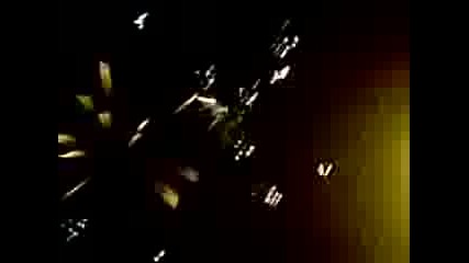 Сурва - Фестивалът 2009г