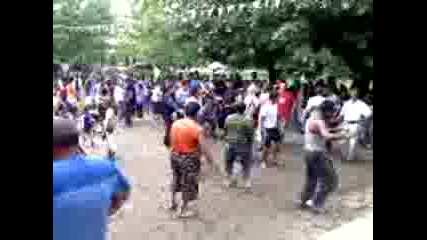 Mov00017