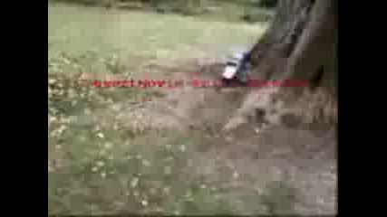 Cross Tiger 3