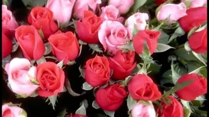 Parade des fleurs