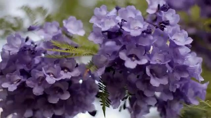 Ernesto Cortazar - Missing You
