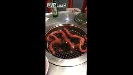 кореец готви живи червеи на барбекю !!