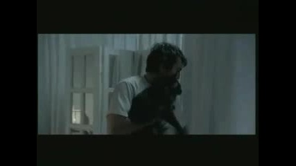 Cat - Elliott International