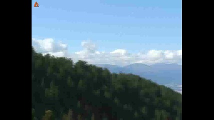 Камелия Тодорова