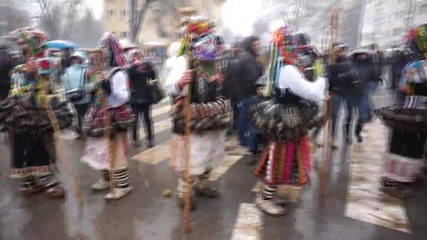 Сурва Перник 2014 02