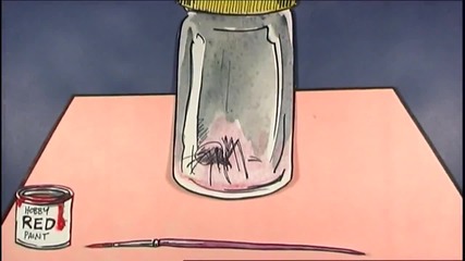 Tortures for Flies_ Black Widow