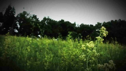 ohio .flv