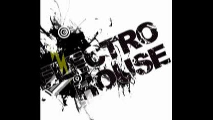 Top 10 Electro House 2011