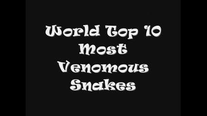 топ 10 на най-отровните змии в света