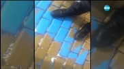 Блъснатият от кола на НСО: Записът е подправен