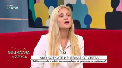 "Ако котките изчезнат от света": Какво се случва с човек, когато дните му са преброени?