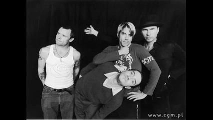 Red Hot Chili Peppers - Snow (hey oh)