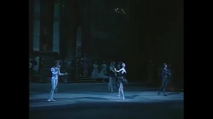 Swan Lake Scene Allegro Giusto