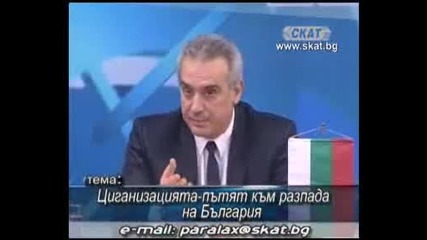 Циганизацията - пътят към разпада на България - Паралакс - 20, 11, 2010 