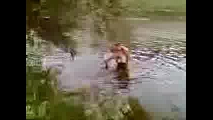 Божурски ООД--На Вита