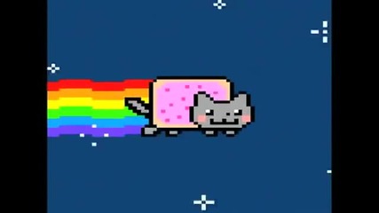 Myan Cat