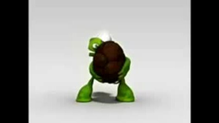 Crazy Turtle 