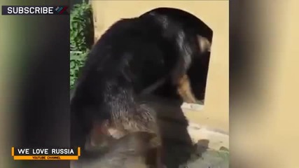 Видео - (2015-01-21 16:00:16)