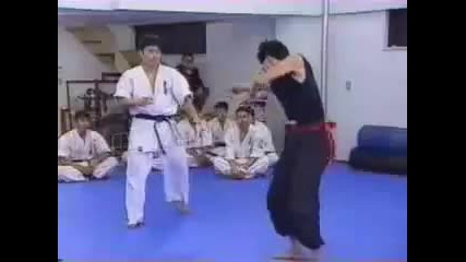 Karate vs Kung Fu 