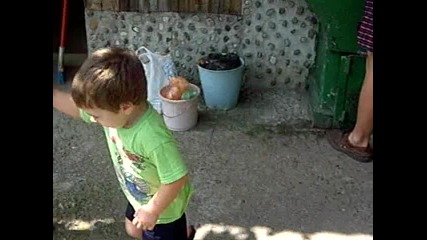 чинари Коледа 297
