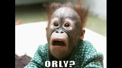 ** Funny Animals ** 