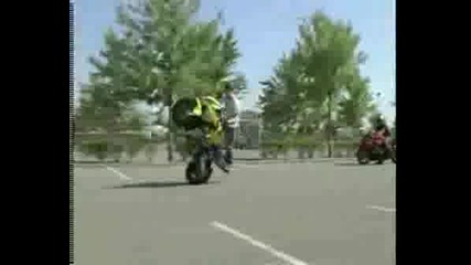 Wild Riders