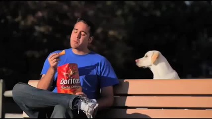Какво би направило едно куче за Doritos - смях 