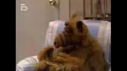 Alf.s01e17