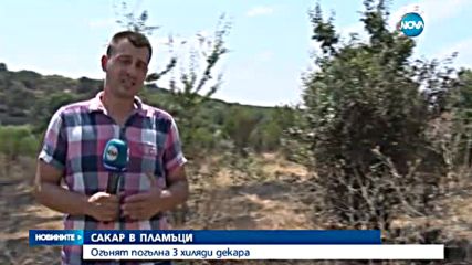 Голям пожар гори между две свиленградски села