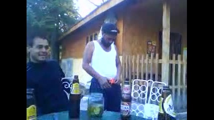 qvcho maimunata