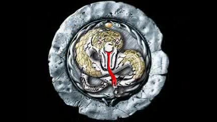 Whitesnake - Til The End Of Time - 2008 