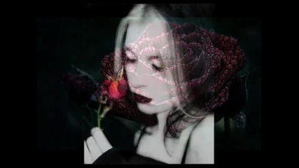 Admirabilis - Back Where I Belong