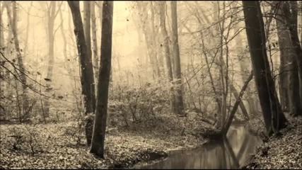 Lykke Li - I Follow Rivers (redsparrow Remix)