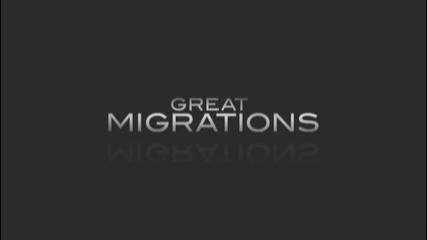 Надпревара за чифтосване - National Geographic Channel - България